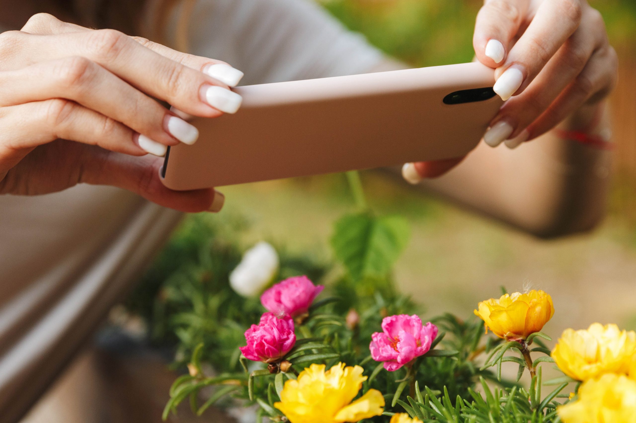.אישה מצלמת פרחים באמצעות המצלמה בטלפון הנייד
