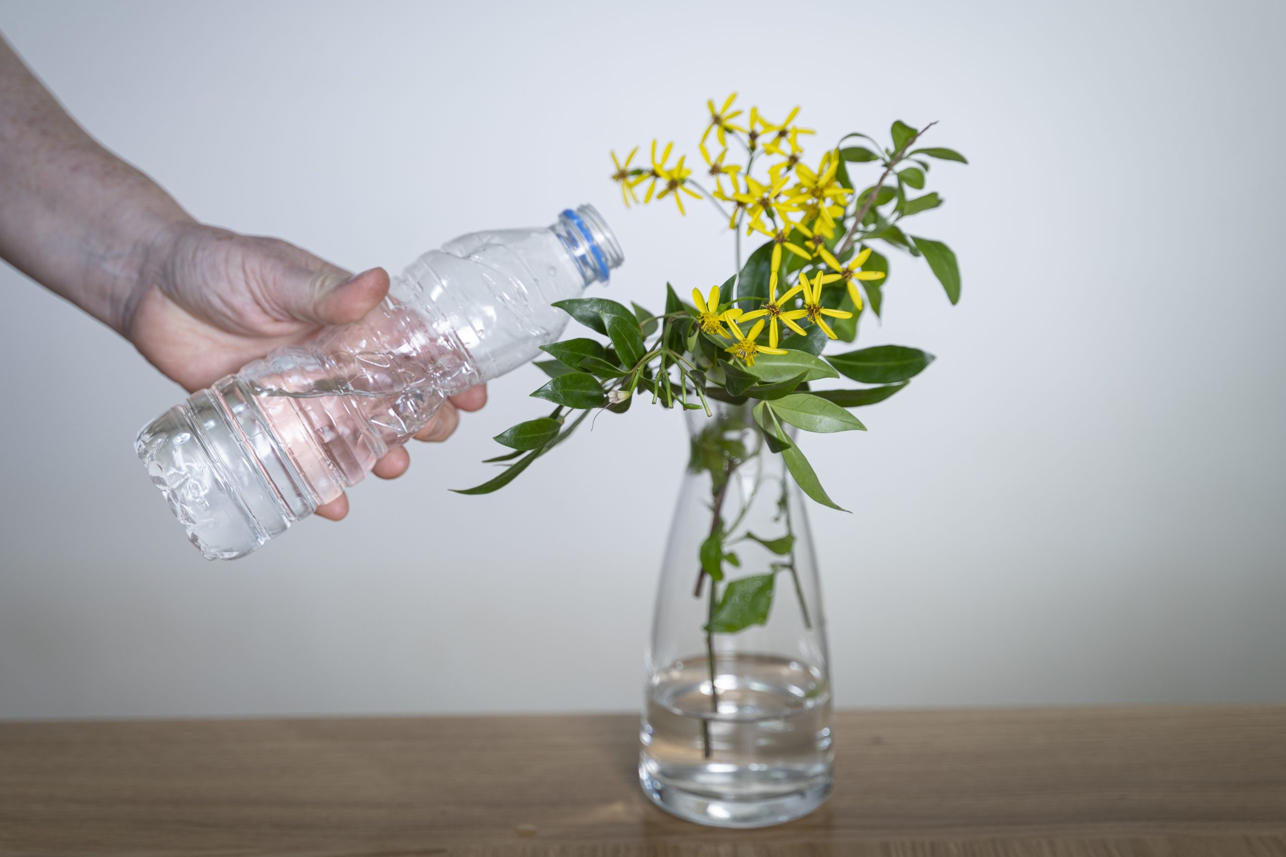 .יד שופכת מים מבקבוק לתוך אגרטל פרחים שמלא במעט מים. האגרטל מונח על שולחן
