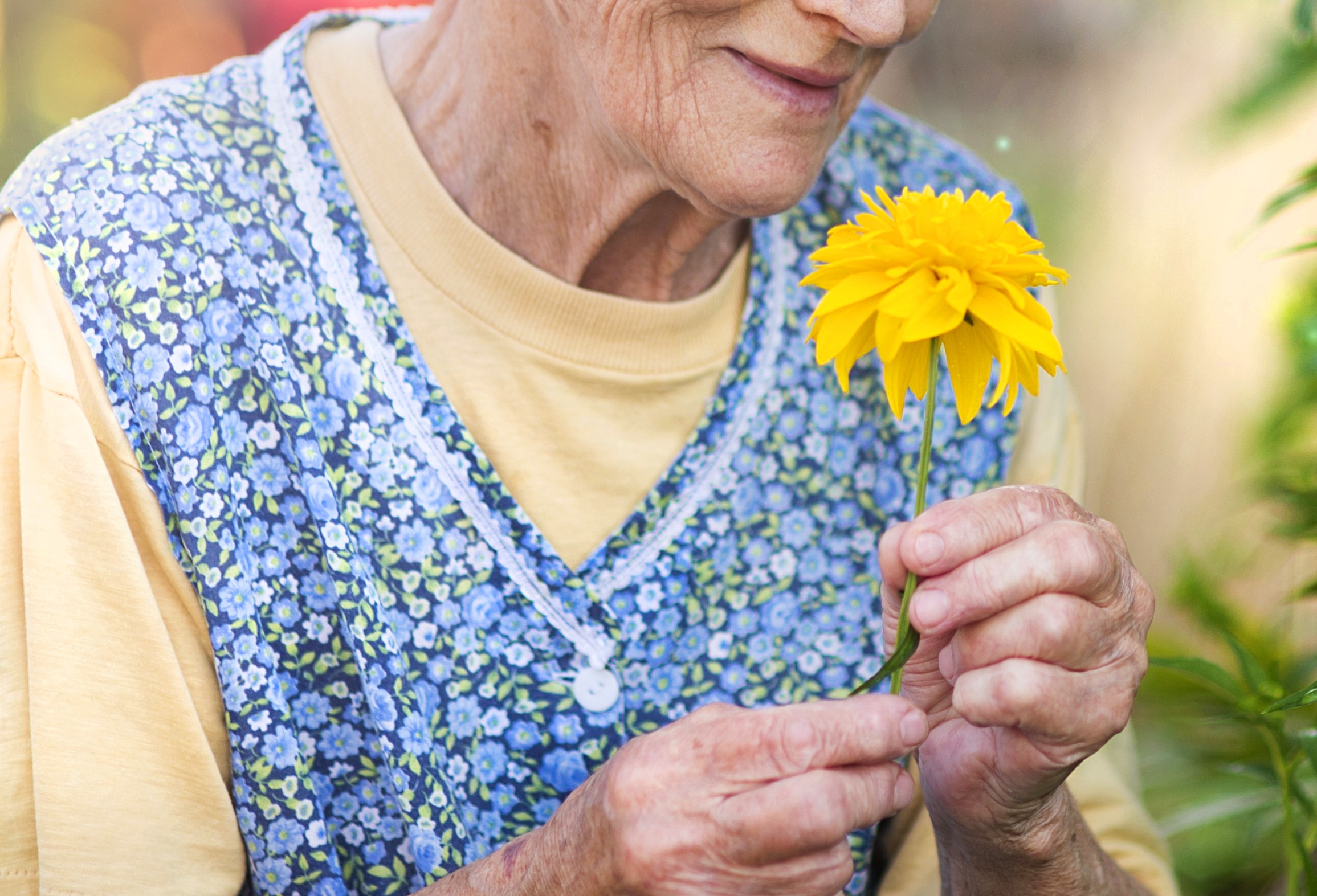 .אישה מבוגרת אוחזת בפרח